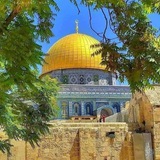 تواصل غرباء.