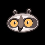 Raccoon Starz