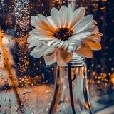 بوت تواصل