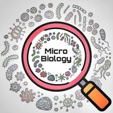 Speed Microbiology Files