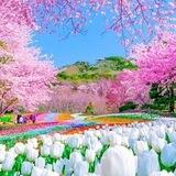 لاستقبال طلباتكم🌸