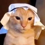 خخ داداش