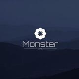 Monster vpn