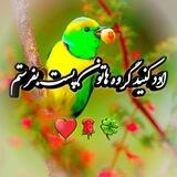 اد کنید گروه هاتون پست بفرستم🌹🍀♥