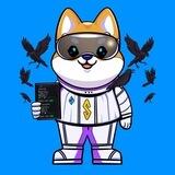 ShibScan