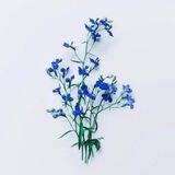 لسته تلقائي🌿.