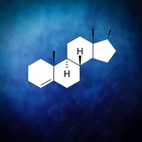 Androgen