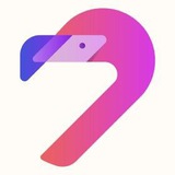 🦩 Flamingo Finance PLUS