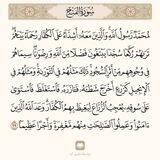 فاروق الأمة تواصل