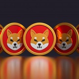 SHIBA AIRDROP
