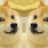 doubledoge