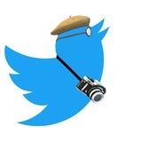 Twideo: twitter video downloader