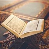 استقبال الطالبات الجدد