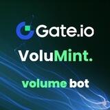 VoluMint Gate