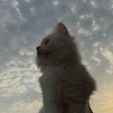 ☁️