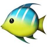 🐠 FishSwap