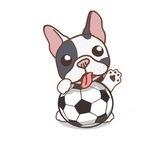SoccersDog Airdrop