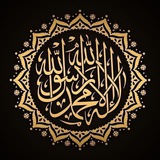 رسائل البوت ...