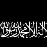 بوْتّ تَواصُل نَبِضْ طَمّونَ
