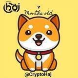 🎉BABYDOGE🎉