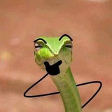 من يراقب حسابك 🤣.