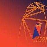 RAVEN AUTOPAY BOT