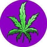 GrowGuide Airdrop