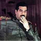 بوت تواصل