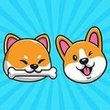 Shiba Corgi Airdrop Bot