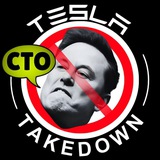 Tesla Takedown Airdrop