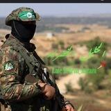 تواصل الخليل الخضراء