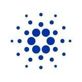Cardano airdrop bot