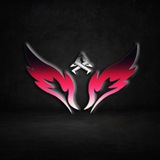 VIP504bot