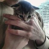 爱猫.. ♥!