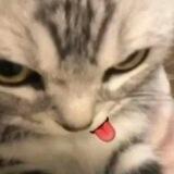 Aju
