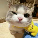 RIN
