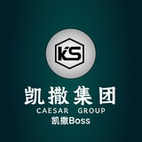 凯撒集团双向机器人