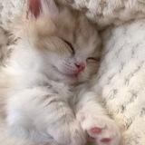 Baby <3 !