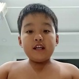 正太/胖太资源库