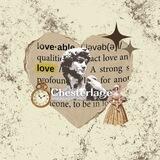 Chesterlage Assistant