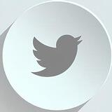 Twitter Media Downloader