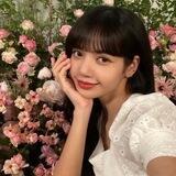 lisa （投稿机器人）