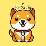 BABYDOGE Auto-pay