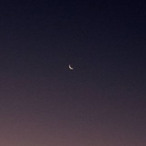 del luna's order place. ☽