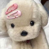 Jejee
