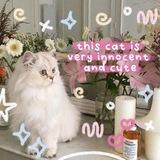 ૮꒰ ⑅ 𝐅isyaa ⑅ ꒱ა