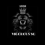 HIRMIN VGS
