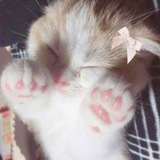 xixicel<3