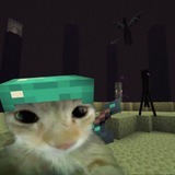 Mima's bot