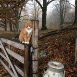 autumn.